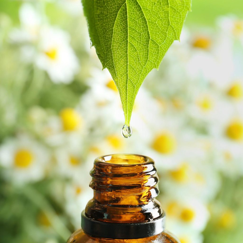 Aromathérapie, Pharmacie des Écoles, Saint-André-De-Cubzac
